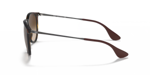 Ray-Ban RB4171